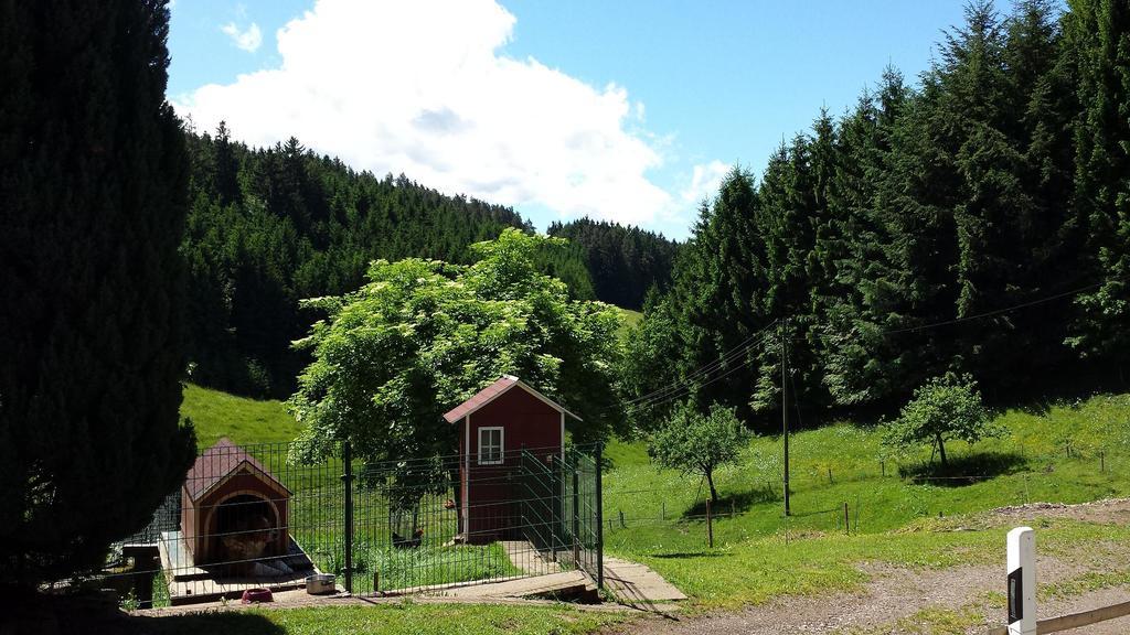 Ferienwohnung Ringwald Biederbach Baden-Württemberg Buitenkant foto